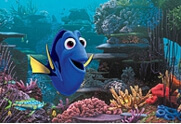 ファインディング・ドリー 映画 画像